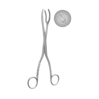Sterilizing Forceps